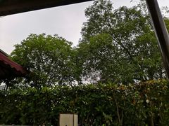 -咸宁万豪温泉谷度假区