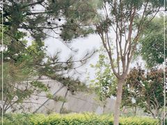 -北京周口店北京人遗址博物馆