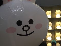 -line friends(明洞旗舰店)