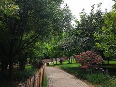 -贵阳市花溪国家城市湿地公园