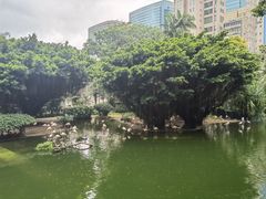 -九龙公园