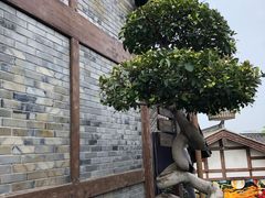 -南津关古镇