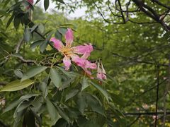 -攀枝花公园