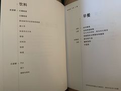 -新加坡航空公司(ION)