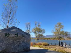 -野鸭湖国家湿地公园