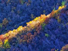 -灵山