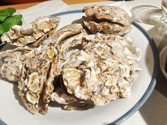 -杨氏青龙虾·羊蝎子(托乐嘉店)