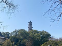 -江心屿景区