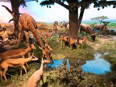 -国家自然博物馆