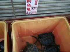 -荔城生鲜盛宴(番禺旗舰店)