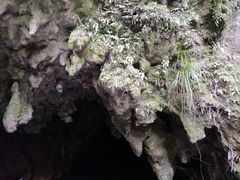 -怀托摩萤火虫洞