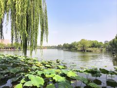 -一大糕点(大明湖店)