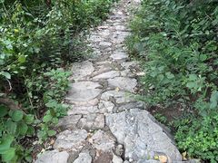 -北京鹫峰国家森林公园