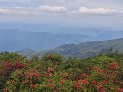 -大围山国家森林公园
