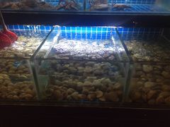 -佰园全日西餐厅-厦门佰翔软件园酒店