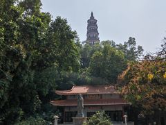 -顺峰山公园