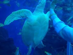 -成都浩海立方海洋公园