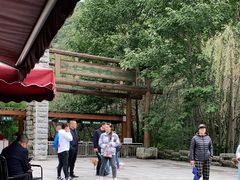 -牛背梁国家森林公园