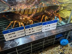 -宁海食府·涌宴(真和店)