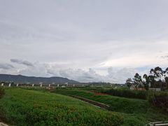 -光明小镇欢乐田园