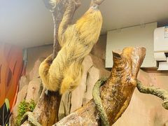 -正佳雨林生态植物园