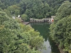 -大围山国家森林公园
