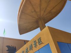 -金塔沙漠胡杨林景区