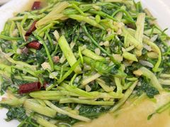 -山菌美食苑(振兴路店)