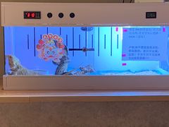 -ViTalk hub咖啡