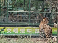 -五龙山野生动物王国