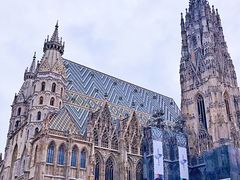 -斯蒂芬主教座堂(Stephansdom)