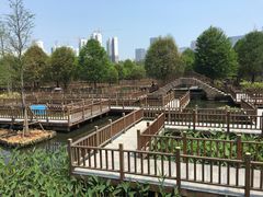 -五缘湾湿地公园