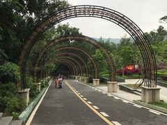 -大屏嶂森林公园
