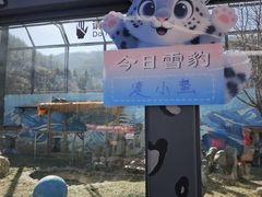 -青藏高原野生动物园