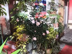 -老宅子私房菜馆(大理古城店)