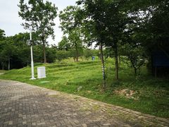 -上海海湾国家森林公园