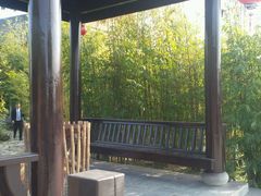 -崇阳三特浪口温泉