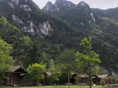 -武陵山森林公园