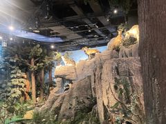 -陕西自然博物馆