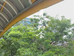 -深圳市宝安体育中心体育场