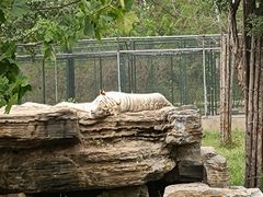-秦皇岛野生动物园