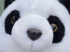 -杭州野生动物世界