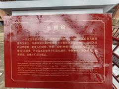 -韩城古城