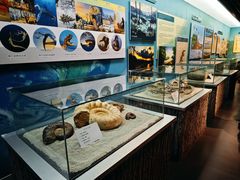 -大同煤炭博物馆