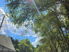 -沈阳森林动物园