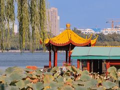 -济南大明湖景区