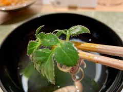 -炎橘·板前料理 Omakase