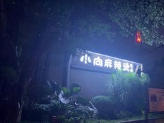 -小向麻辣烫(天街总店)