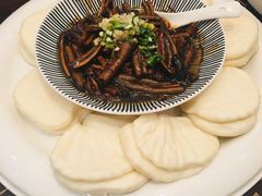 -上海安亭别墅花园酒店