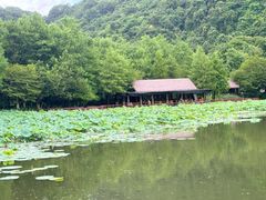 -八卦田遗址公园